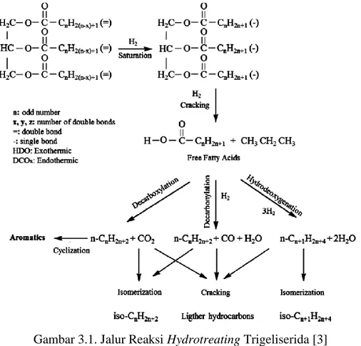Gambar 3.1. Jalur Reaksi Hydrotreating Trigeliserida [3] 