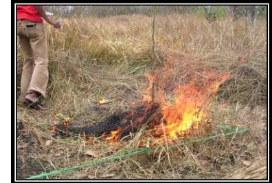 Gambar 14. Nilai Kandungan Magnesium Sebelum dan Sesaat Setelah Terbakar 