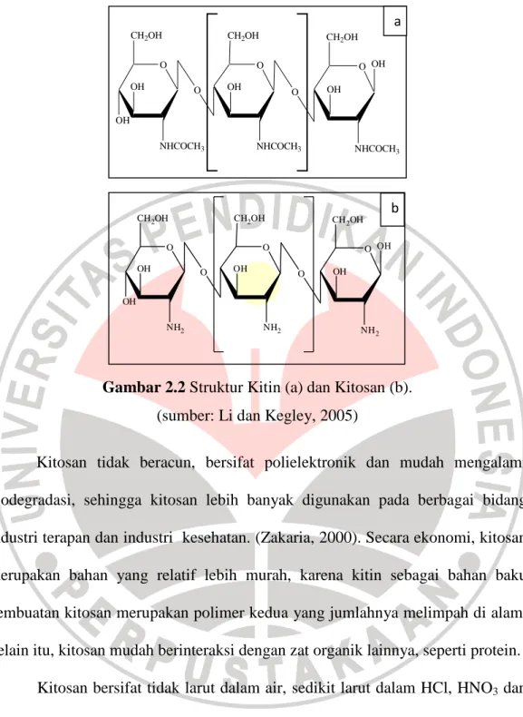 Gambar 2.2 Struktur Kitin (a) dan Kitosan (b).  