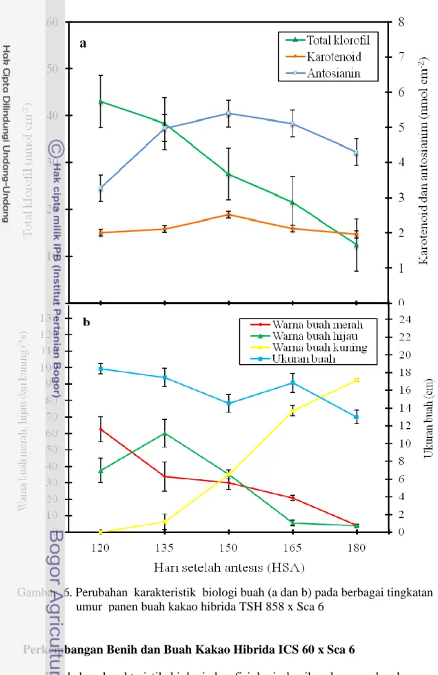 Gambar  6. Perubahan  karakteristik  biologi buah (a dan b) pada berbagai tingkatan                       umur  panen buah kakao hibrida TSH 858 x Sca 6 