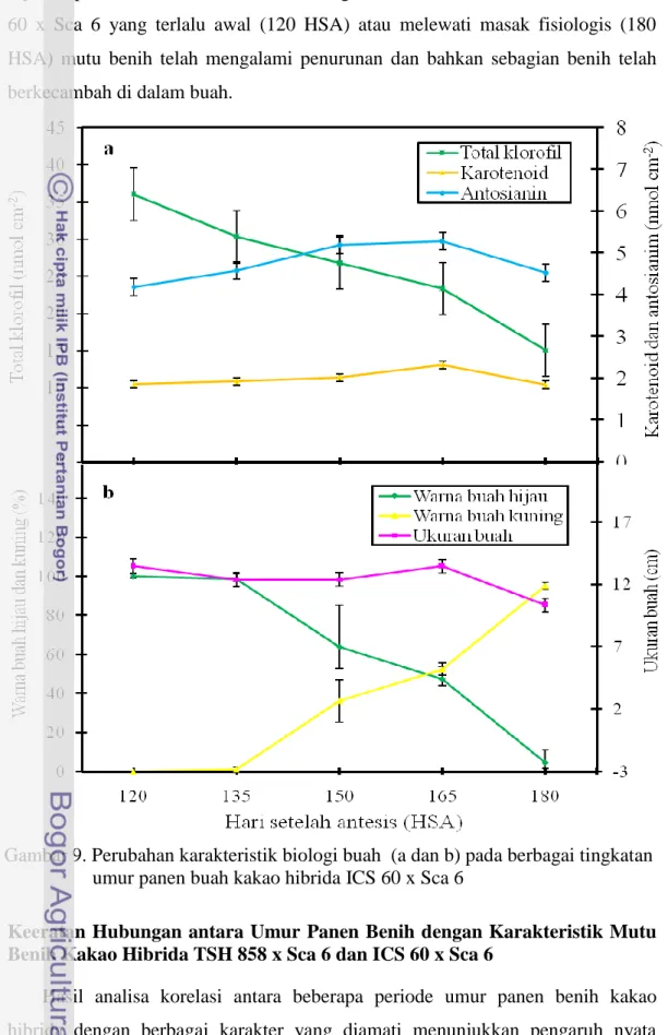 Gambar 9. Perubahan karakteristik biologi buah  (a dan b) pada berbagai tingkatan                    umur panen buah kakao hibrida ICS 60 x Sca 6   