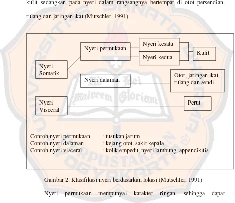 Gambar 2. Klasifikasi nyeri berdasarkan lokasi (Mutschler, 1991) 