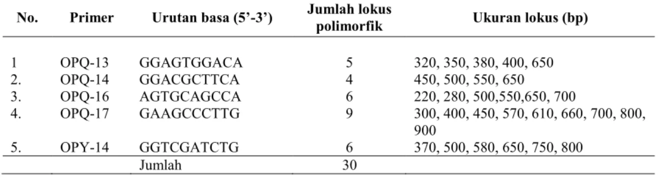 Tabel 1. Primer RAPD dan jumlah lokus polimorfik pada nyamplung  No.  Primer  Urutan basa (5’-3’)  Jumlah lokus 