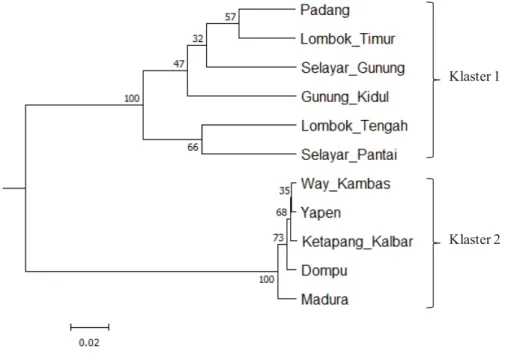 Gambar 3.   Hubungan kekerabatan secara genetik 11 populasi nyamplung berdasarkan 30 lokus polymorfik  RAPD 