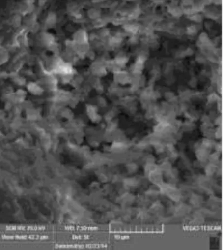 Gambar 2. Morfologi abu sekam padi yang diambil dengan menggunakan Vega3SB Scanning  Electron Microscopy (SEM)