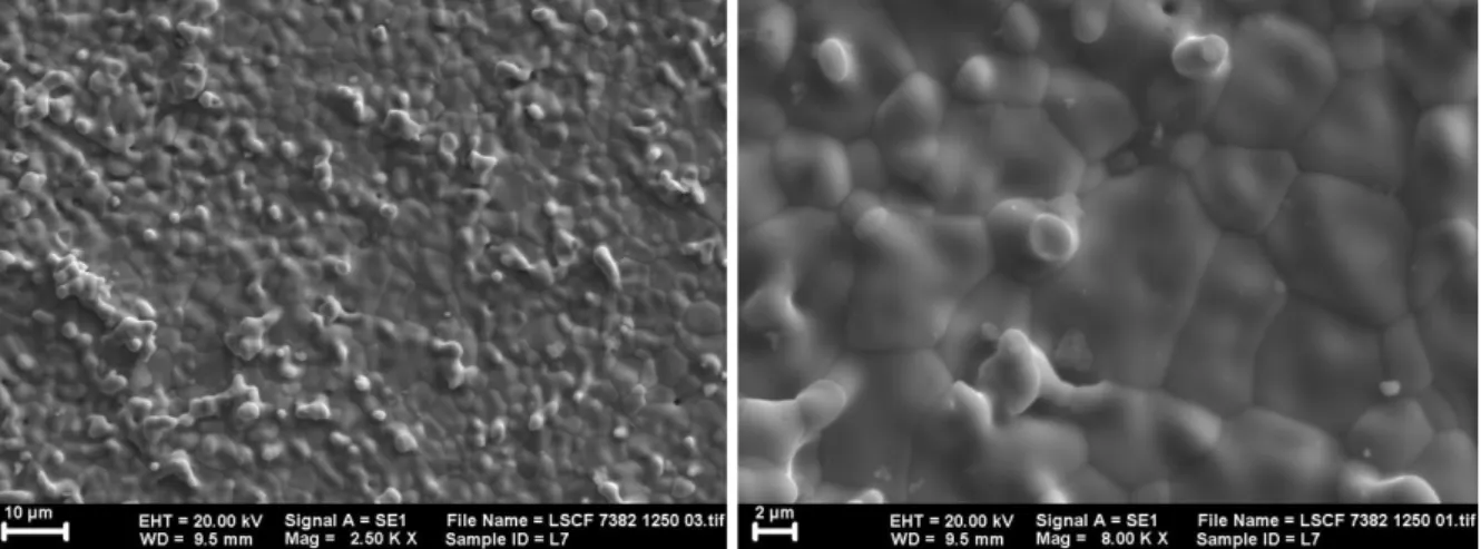 Gambar 3. Foto SEM permukaan membran: (a) LSCF 7382 dan (b) BSCF 5582. 