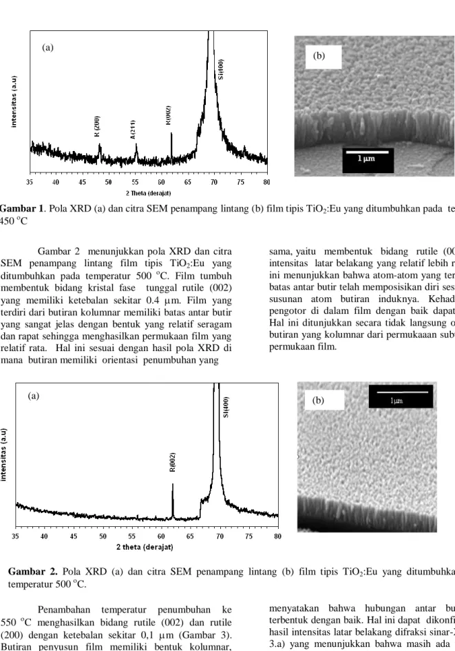 Gambar  2    menunjukkan  pola  XRD  dan  citra  SEM  penampang  lintang  film  tipis  TiO 2 :Eu  yang  ditumbuhkan  pada  temperatur  500  C