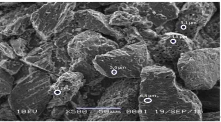 Gambar 1 Foto SEM permukaan karbon aktif tempurung kemiri yangdiaktivasi pada suhu 600 ºC  dengan perbesaran 500x 