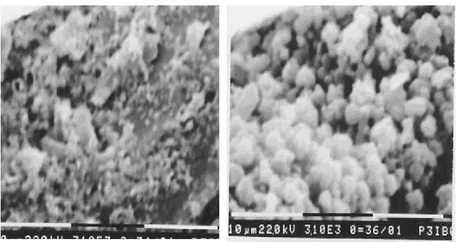 Gambar 7. Struktur mikro crucible  (a) sebelum teroksidasi ; (b) sesudah teroksidasi  (perbesaran 3100 X)