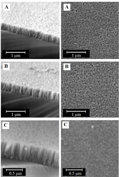 Gambar 4  Potret SEM penampang lintang (kiri) dan permukaan (kanan) film  tipis Ti 1-x Co x O 2 /Si  dengan masing-masing persentase konsentrasi kandungan  Co: (A) 0,41% ; (B) 2,97% dan (C) 5,77% 