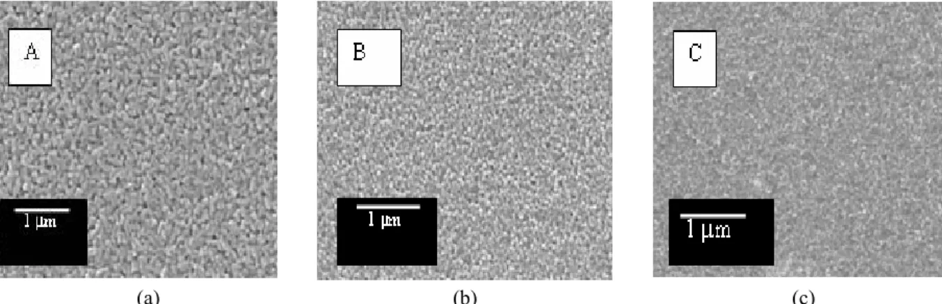Gambar 4 menunjukkan citra SEM permukaan  film tipis TiO 2 :Eu yang ditumbuhkan pada temperatur   450 ο C, 500  ο C, dan 550 ο C