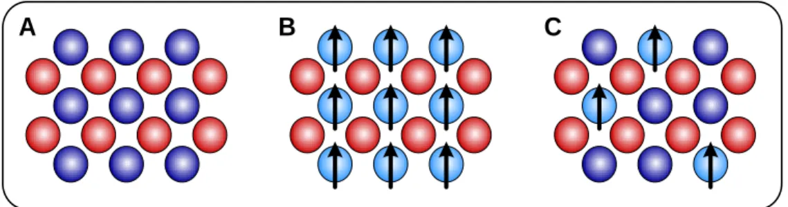 Gambar  II.2.  Klasifikasi  material  semikondultor,  yaitu  (A)  semikonduktor    konvensional  (B)  semikonduktor  magnetik  dan  (C)  DMS  (Ohno,1998)