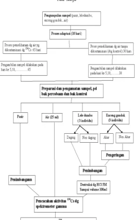 Gambar 1: Langkah kerja  