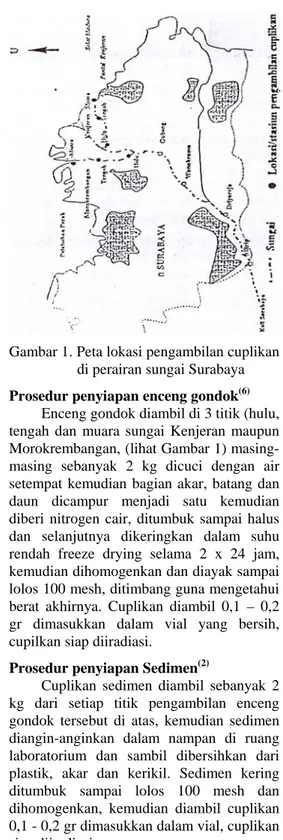 Gambar 1. Peta lokasi pengambilan cuplikan  di perairan sungai Surabaya  Prosedur penyiapan enceng gondok (6)
