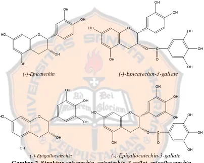 Gambar 2. Struktur  epicatechin, epicatechin-3-gallat, epigallocatechin, dan ( Svobodova ., 2003 ) 