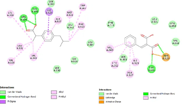 Gambar 3. Visualisasi 2D penambatan molekul Ibuprofen (a), dan Phenylmethylene (b) 