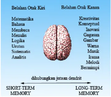 Gambar 3 Fungsi Otak Kiri dan Kanan Pada Manusia 