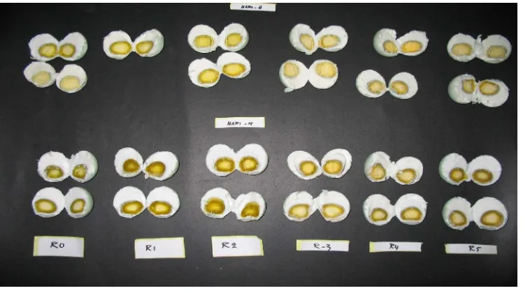 Gambar 3  Indeks warna kuning telur asin rebus dengan pemberian pakan R0 (Ransum basal), R1 (3% kaliandra), R2 (6% kaliandra), R3 (3% kepala udang), R4 (6% kepala udang) dan R5 (9% kepala udang)