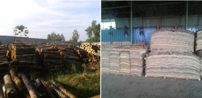 Gambar 1.  Bahan baku dan produk veneer yang dihasilkan oleh salah satu pabrik  pengolahan kayu karet di Sumatera Selatan