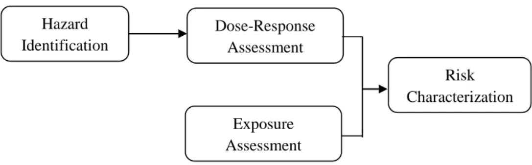 Gambar 3. 5. Alur Analisis Risiko Hazard Identification Dose-Response Assessment Exposure Assessment  Risk  Characterization 
