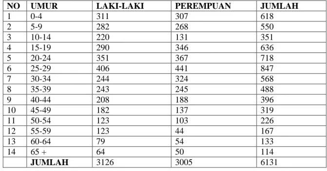 Tabel  2.  Jumlah  Penduduk  Menurut  Usia  Di  Kelurahan  Penengahan  Kecamatan  Tanjung Karang Pusat Bandar Lampung Pada Tahun 2007