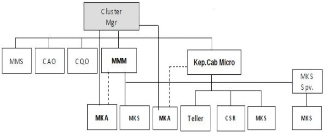 Gambar 4.1 : Struktur Organisasi Micro Banking 