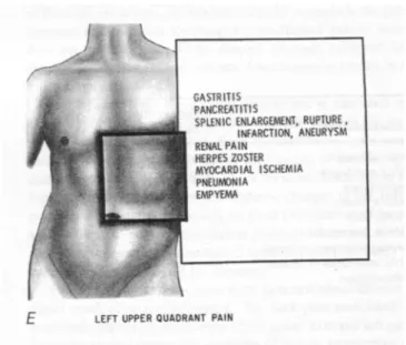 Gambar 6. Lokasi karakteristik nyeri abdomen dengan penyakitnya.
