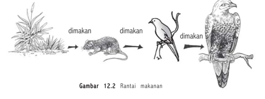 Gambar 12.2Gambar 12.2Gambar 12.2Gambar 12.2