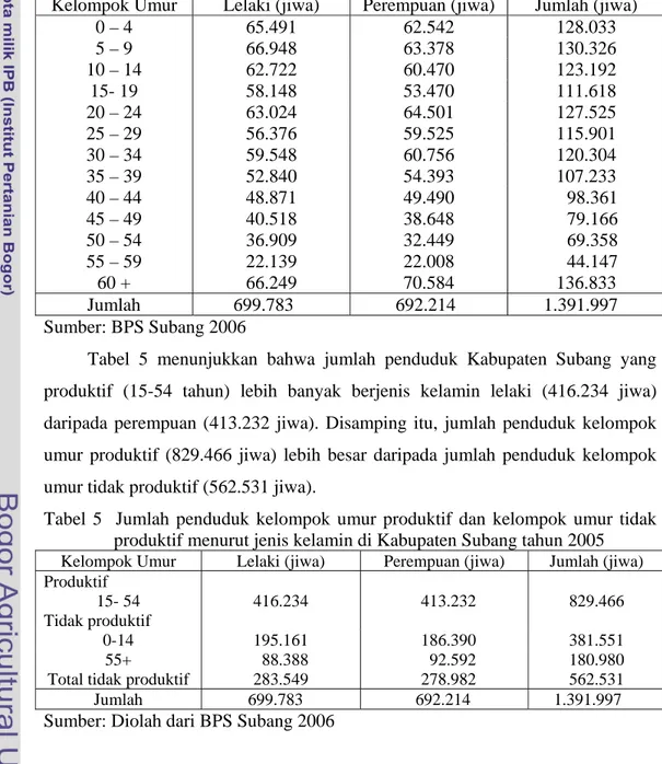 Tabel 4 menyajikan distribusi penduduk Kabupaten Subang menurut  kelompok umur dan jenis kelamin pada akhir tahun 2005