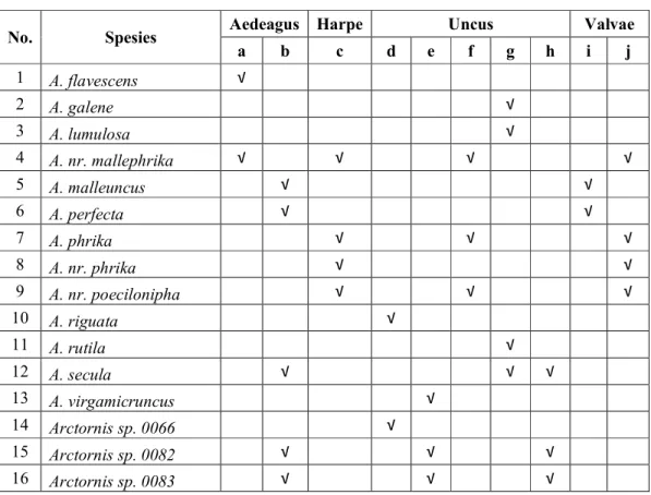 Tabel 1.Tingkat kedekatan berdasarkan kesamaan karakteristik genitalia ngengat jantan  genus Arctornis 