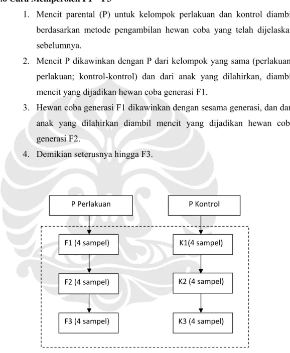 Diagram 3.1 Bagan Pemilihan Hewan Coba 