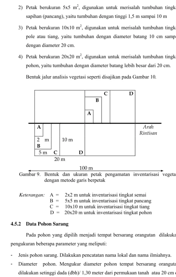 Gambar 9. Bentuk dan ukuran petak pengamatan inventarisasi vegetasi   dengan metode garis berpetak 