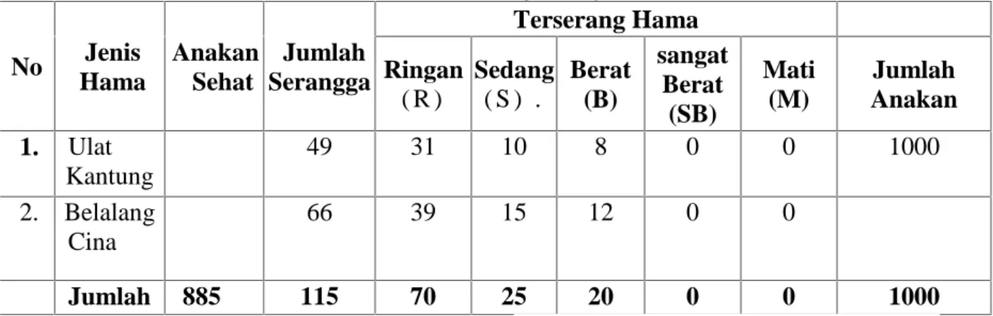 Tabel  3.  Rekapitulasi  Data  Inventarisasi  Hama  Pada  Anakan Shorea  selanica di  Areal Persemaian CIMTROP Universitas Palangka Raya