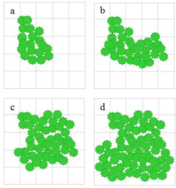 Gambar 3  Persentase penutupan tajuk (a) rendah 0-25%, (b) sedang 26-50%, (c)  tinggi 51-75%, dan (d) sangat tinggi 76-100% 