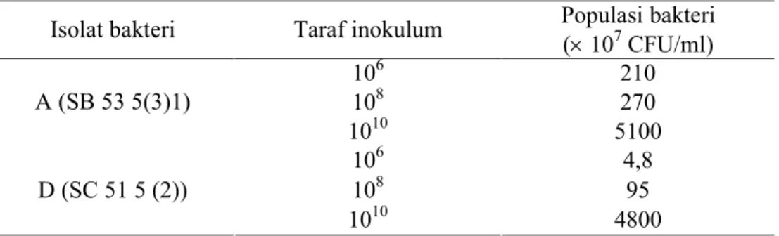 Tabel 3. Perhitungan Populasi Bakteri Total Sebelum Inokulasi  Isolat bakteri  Taraf inokulum  Populasi bakteri  
