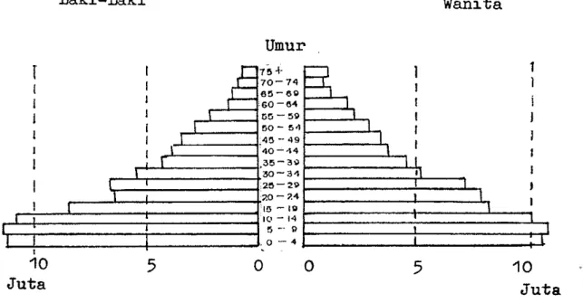 Gambar  2.  Piramida  Penduduk  Indonesia  Tahun  1985  Terpusatnya  laju  pertumbuhan  penduduk  yang  rendah  di  Pulau  Jawa  (Jateng,  Yogyakarta,  Jatim  khususnya),   di-sebabkan  karena  Pulau  Jawa  telah  mengalami  tahap-tahap  pertama  dari  tra