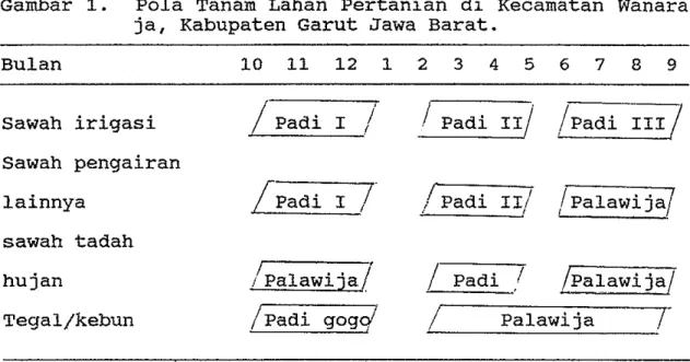 Gambar  1.  Pola Tanam Lahan Pertanian di Kecamatan Wanara  ja, Kabupaten Garut Jawa Barat