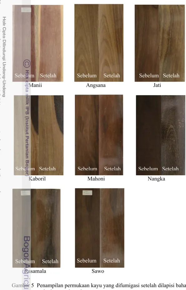 Gambar 5  Penampilan permukaan kayu yang difumigasi setelah dilapisi bahan  pelapis waterbased 