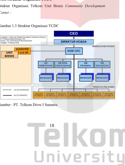 Gambar 1.3 Struktur Organisasi TCDC