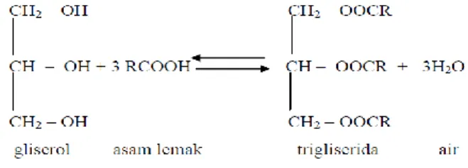 Gambar 5 Reaksi esterifikasi antara gliserol dan tiga molekul asam lemak 