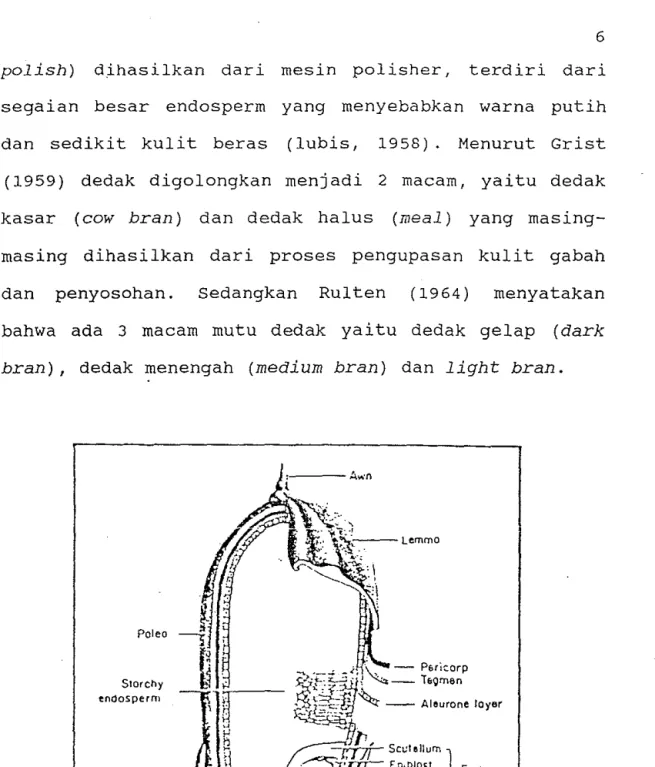 Gambar  1.  Struktur  butiran  pacli  (Grist,  1959) 