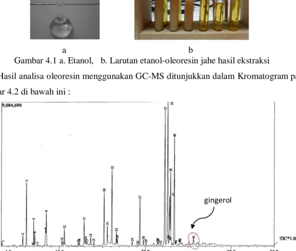 Gambar 4.1 a. Etanol,   b. Larutan etanol-oleoresin jahe hasil ekstraksi 