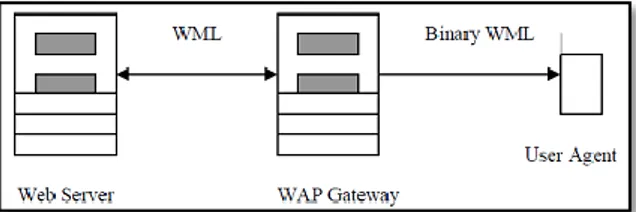 Gambar 1. 3 Diagram Network pada WAP