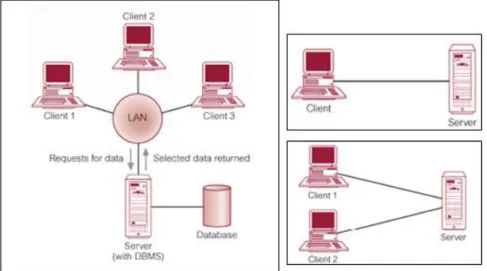 Gambar 13. Arsitektur Basis Data Client server 