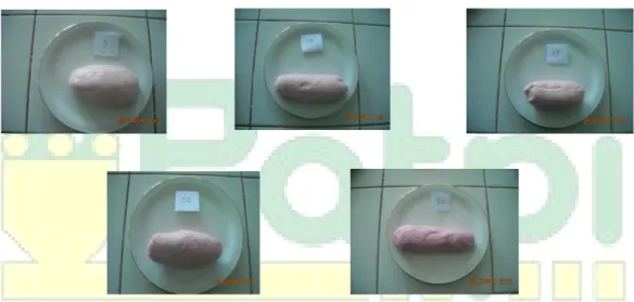 Gambar 6. Hasil Adonan Kerupuk dengan (kiri-kanan)  a: 5 mL hasil juicer dengan 100 gram Tepung    b: 10 mL hasil juicer dengan 100 gram tepung  