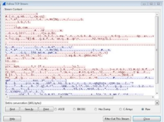 Gambar 19 Hasil Pengujian Dengan SSL  Gambar  19  menunjukkan  data  yang  ditampilkan tidak lagi berupa plain-text