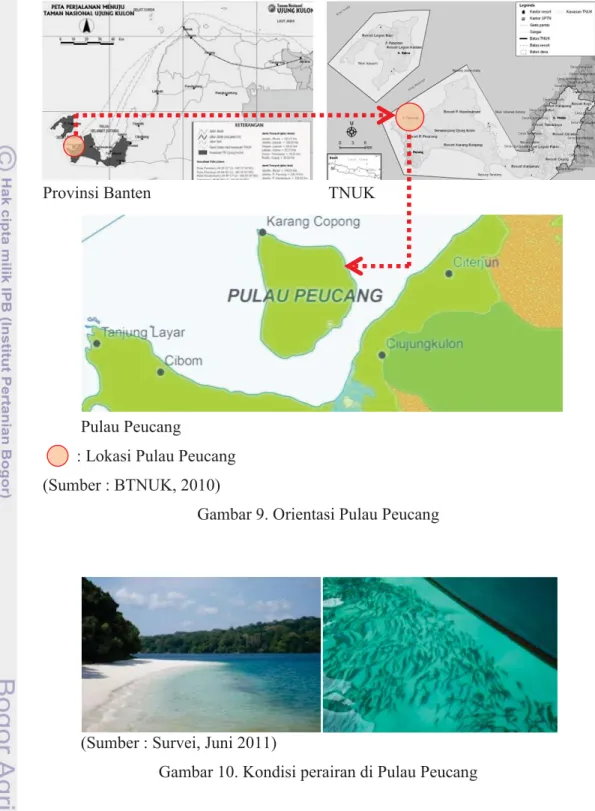 Gambar 9. Orientasi Pulau Peucang 