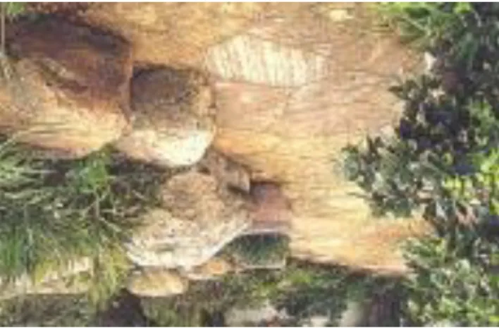 Gambar 3.14 Material  Sumber : Keenleyside, 2018   10. Kebisingan 