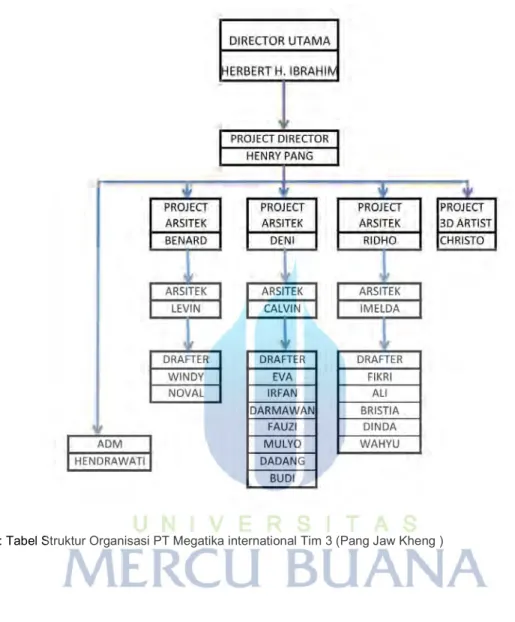 Tabel 2: Tabel Struktur Organisasi PT Megatika international Tim 3 (Pang Jaw Kheng ) 