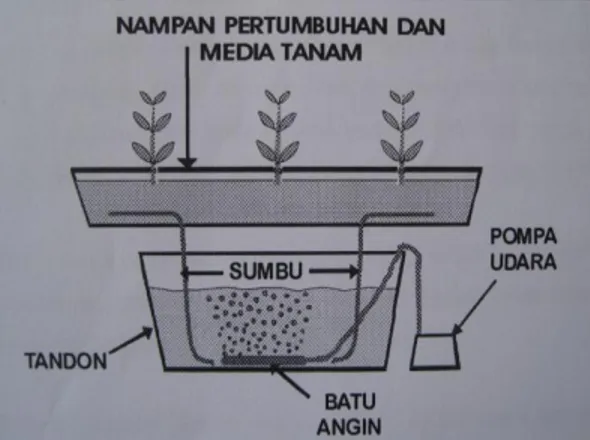 Gambar 1. Hidroponik Sistem Sumbu  